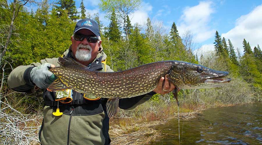 Ontario Pike Fishing  Ontario Northern Pike Fishing Fly In Outpost & Camp