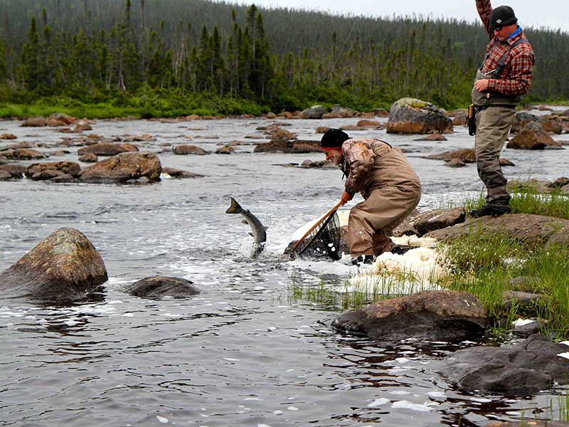 Episodes - Seasons of The New Fly Fisher Television Series
