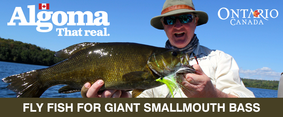 5 Topwater Secrets for Smallmouth Bass - The New Fly Fisher