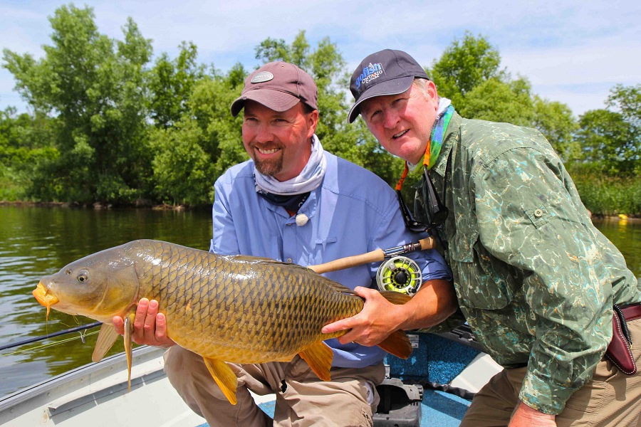How to Catch Carp on the Fly