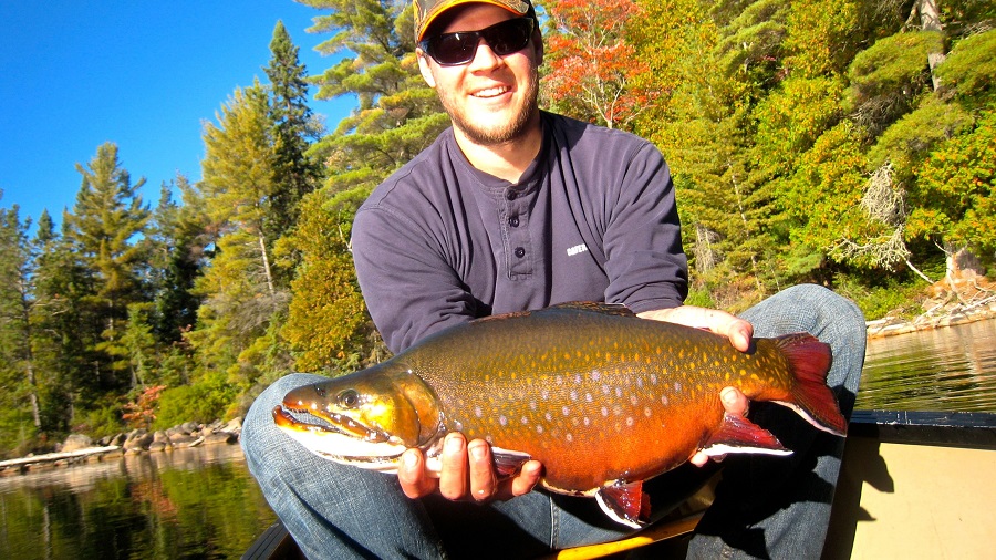 The 9 Best Trout Lures For Small Streams (Plus One Bonus) - The Wild  Provides